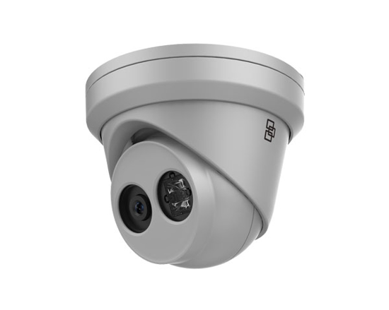 Picture of Truvision TVGP-M0401-TUR-G 4MP Turret 2.8mm Grey