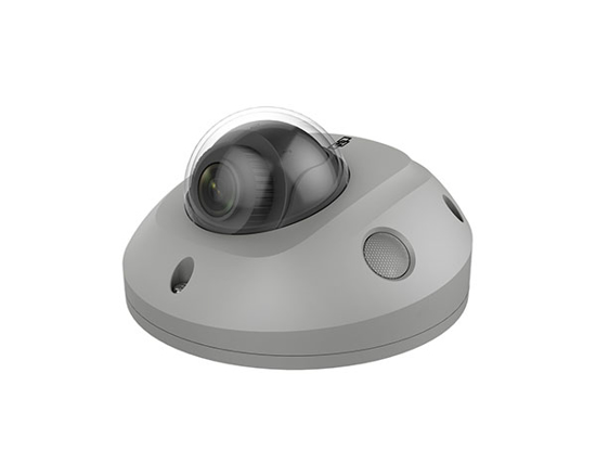 Picture of Truvision TVGP-M0401-WED-G 4MP MiniDome 2.8mm Grey