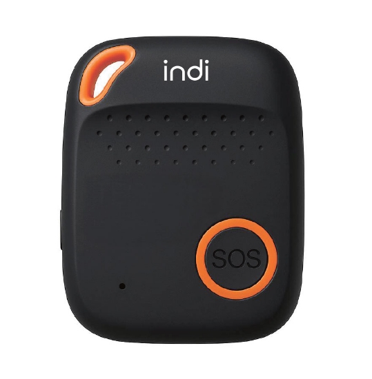 Picture of Ness Guardian 4G Indi-Pendant