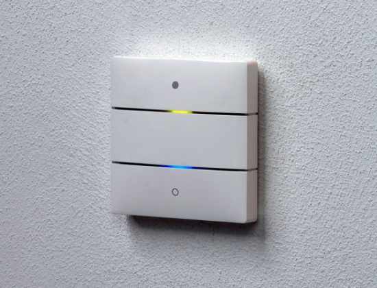 Picture of LUXORliving iON2  2-Push button & temperature sensor White
